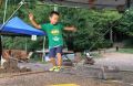 映心の技シリーズ