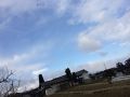 よく遊びよく寝る