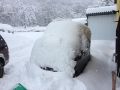 雪害について