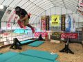 企業スポンサーとして、コカ・コーラさ...