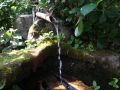 信州の名水にも選ばれている浄光寺の御...