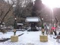 今年も見海造園さんにお正月の門松を設...