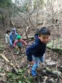 週末に子供達と裏山探検に出かけました...