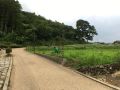 小布施見にマラソン応援スラックライン...