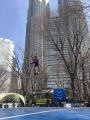 3月25日に東京新宿中央公園で開催された...